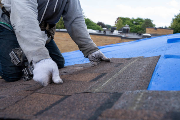 Quick and Trustworthy Emergency Roof Repair Services in Jackson, MO