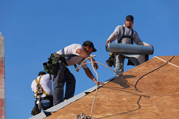 Best Commercial Roofing Services  in Jackson, MO